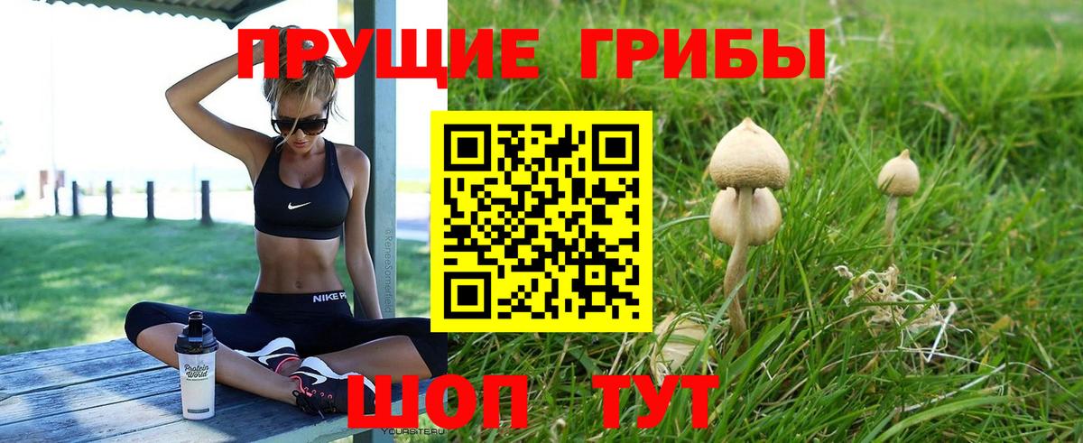 Псилоцибиновые грибы ЛСД  Галлюциногенные грибы Psilocybe  Ступино  Вход с VPN 